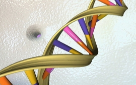 Scientists discover secret code hidden within human DNA